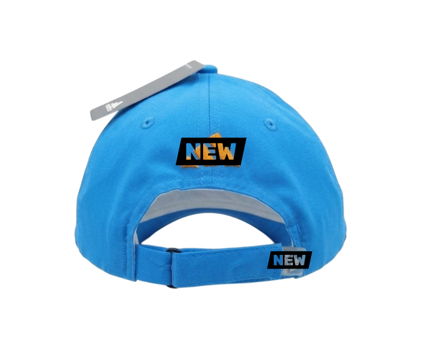 official Indian Cricket Team fan cap (Copy)