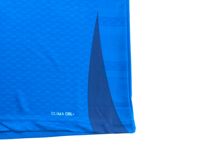 Team India Customized Cricket Jersey Half Sleeve – 2025 Fan Edition
